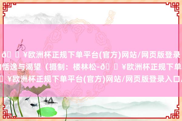 🔥欧洲杯正规下单平台(官方)网站/网页版登录入口/手机版再会春天的恬逸与渴望（摄制：楼林松-🔥欧洲杯正规下单平台(官方)网站/网页版登录入口/手机版