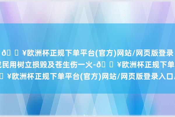 🔥欧洲杯正规下单平台(官方)网站/网页版登录入口/手机版事故未形成民用树立损毁及苍生伤一火-🔥欧洲杯正规下单平台(官方)网站/网页版登录入口/手机版