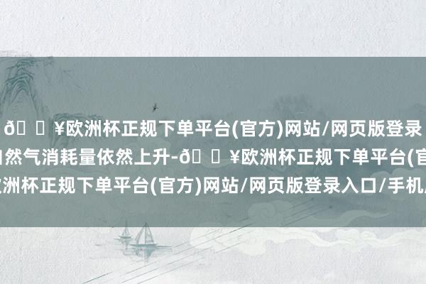 🔥欧洲杯正规下单平台(官方)网站/网页版登录入口/手机版好意思国自然气消耗量依然上升-🔥欧洲杯正规下单平台(官方)网站/网页版登录入口/手机版